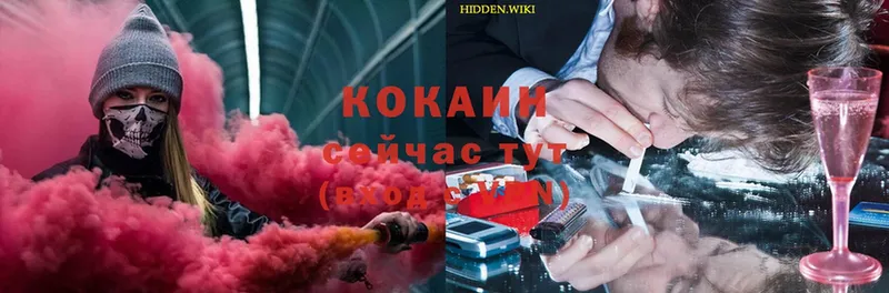 Cocaine Fish Scale  продажа наркотиков  Куртамыш 